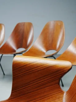 Pamono Medea Dining Chairs by Vittorio Nobile, 1950s, Set of 6> Side Chairs & Dining Chairs
