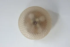 Pamono Mid-Century Bubble Sconce, 1960s> Wall Lights & Sconces