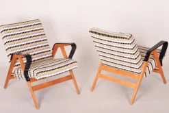 Hot Pamono Mid-Century Czech Armchairs from Tatra Pravenec, 1950s, Set of 2