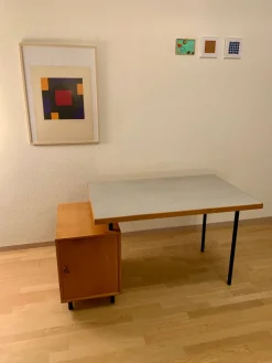 Hot Pamono Mid-Century Desk from Wohnhilfe Zürich, 1950s