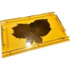 Pamono Mid-Century Modern Italian Lacquered Wood and Brass Serving Tray, 1960s> Trays