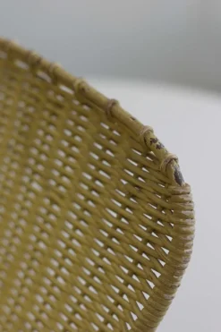 Pamono Mid-Century Peacock Magazine Rack in Rattan and Wire, 1950s><noscript><img width=