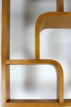 Hot Pamono Mid-Century Room Divider attributed to Ludvik Volak for Drevopodnik Holesov, 1960s