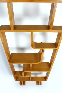 Hot Pamono Mid-Century Room Divider attributed to Ludvik Volak for Drevopodnik Holesov, 1960s