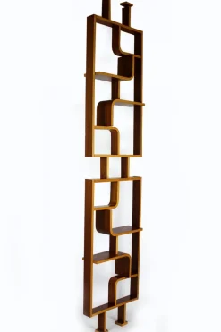 Discount Pamono Mid-Century Room Divider attributed to Ludvik Volak for Drevopodnik Holesov, 1960s