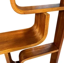 Pamono Mid-Century Room Divider by Ludvik Volak for Drevopodnik Holesov, 1960s><noscript><img width=