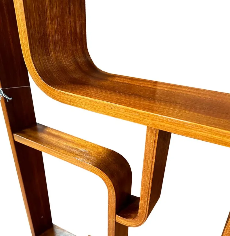 Pamono Mid-Century Room Divider by Ludvik Volak for Drevopodnik Holesov, 1960s> Room Dividers & Screens