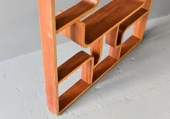 New Pamono Mid-Century Room Divider by Ludvik Volak, 1960s