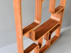 New Pamono Mid-Century Room Divider by Ludvik Volak, 1960s