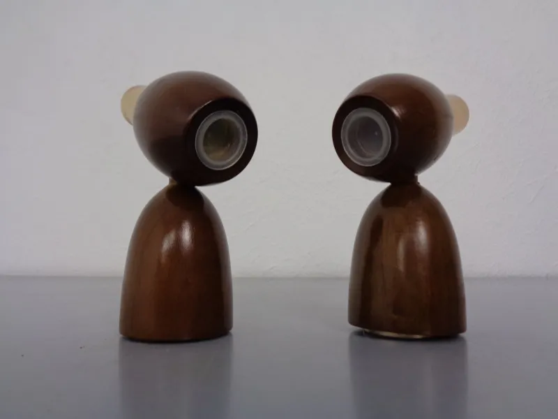 Pamono Mid-Century Salt and Pepper Shakers, 1960s, Set of 2