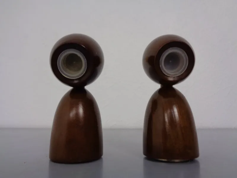 Pamono Mid-Century Salt and Pepper Shakers, 1960s, Set of 2