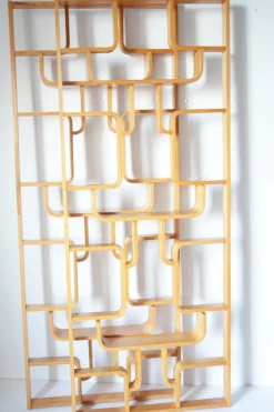 Pamono Mid-Century Wall or Room Dividers by Ludvik Volak for Drevopodnik Holesov, 1970s, Set of 2