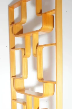 Pamono Mid-Century Wall or Room Dividers by Ludvik Volak for Drevopodnik Holesov, 1970s, Set of 2