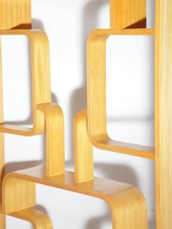 Pamono Mid-Century Wall or Room Dividers by Ludvik Volak for Drevopodnik Holesov, 1970s, Set of 2