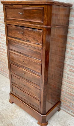 Clearance Pamono Mid-19th Century French Louis Philippe Carved Walnut Secretary Cabinet, 1890s