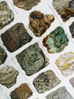 Pamono Minerals and Rocks. Encyclopedic Graphics, Germany, Chromolithograph><noscript><img width=