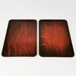 Sale Pamono Minimalist Trays by Gerling, Germany, 1960s, Set of 2