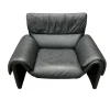 Pamono Model 2011/01 Armchair from de Sede> Lounge Chairs & Armchairs