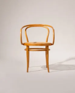 Pamono Model 209 Chairs by Michael Thonet, 1960s, Set of 4> Side Chairs & Dining Chairs