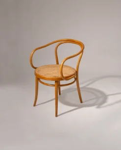 Pamono Model 209 Chairs by Michael Thonet, 1960s, Set of 4><noscript><img width=