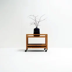 Pamono Model 5370 Trolley by Borge Mogensen for Frederica Mobelfabrik, 1960s