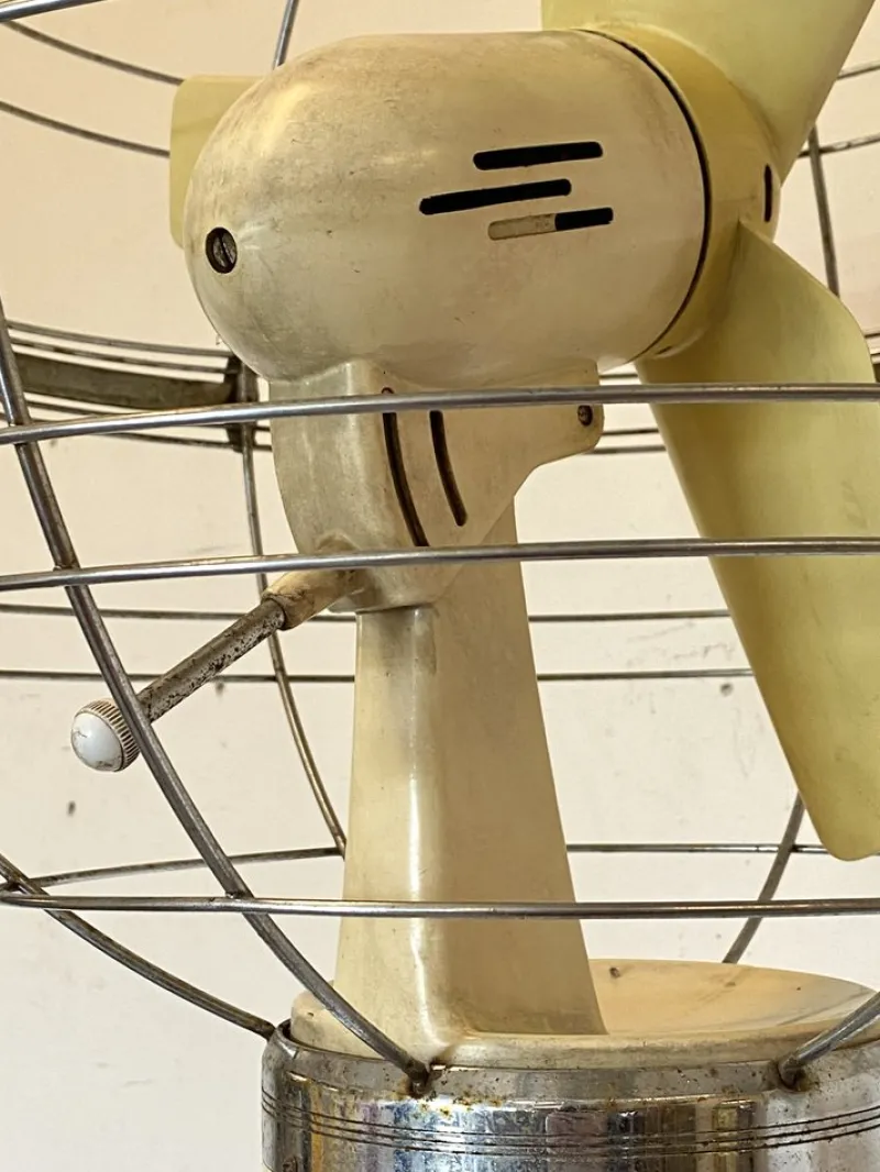Pamono Model Zodiac Fan from San Giorgio, 1950s> Electronics