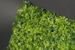 Discount Pamono Modular Boxwood Plant Mix Wall Vertical Garden Panel from VGnewtrend
