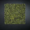 Sale Pamono Modular Boxwood Wall Vertical Garden Panel from VGnewtrend