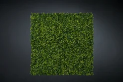 Online Pamono Modular Flat Boxwood Wall Vertical Garden Panel from VGnewtrend