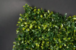Online Pamono Modular Flat Boxwood Wall Vertical Garden Panel from VGnewtrend