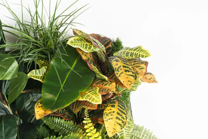 Pamono Modular Hana Wall Vertical Garden Panel from VGnewtrend> Decorative Objects
