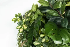 Pamono Modular Hana Wall Vertical Garden Panel from VGnewtrend><noscript><img width=