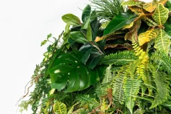 Pamono Modular Hana Wall Vertical Garden Panel from VGnewtrend><noscript><img width=
