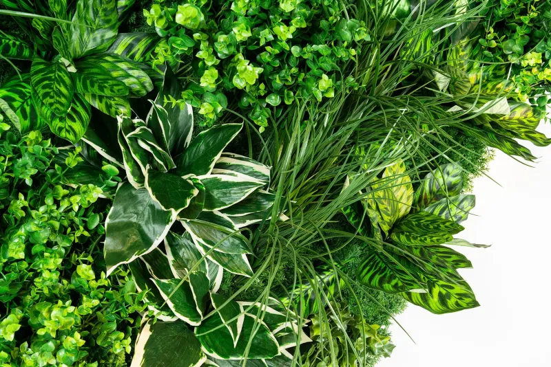 Pamono Molokai Modular Vertical Garden Panel from VGnewtrend> Decorative Objects
