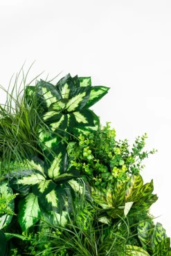 Pamono Molokai Modular Vertical Garden Panel from VGnewtrend><noscript><img width=