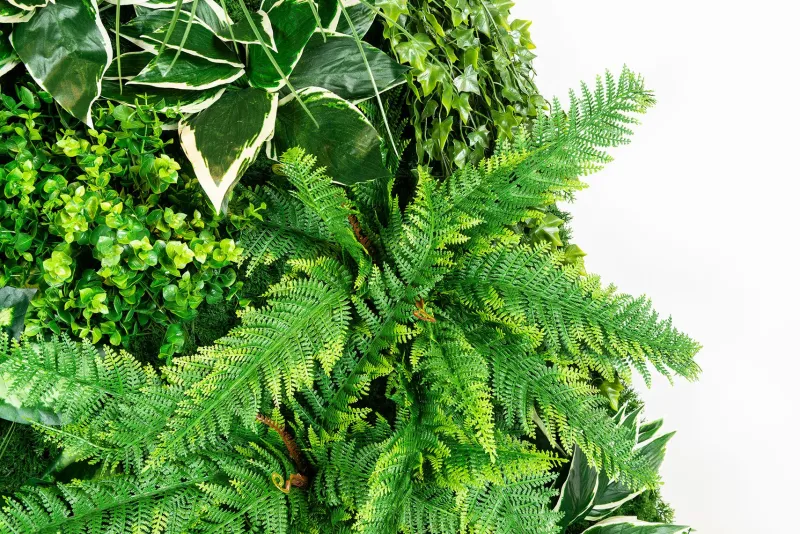 Pamono Molokai Modular Vertical Garden Panel from VGnewtrend> Decorative Objects