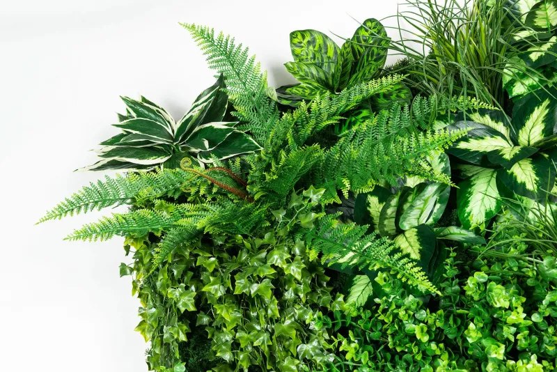 Pamono Molokai Modular Vertical Garden Panel from VGnewtrend> Decorative Objects