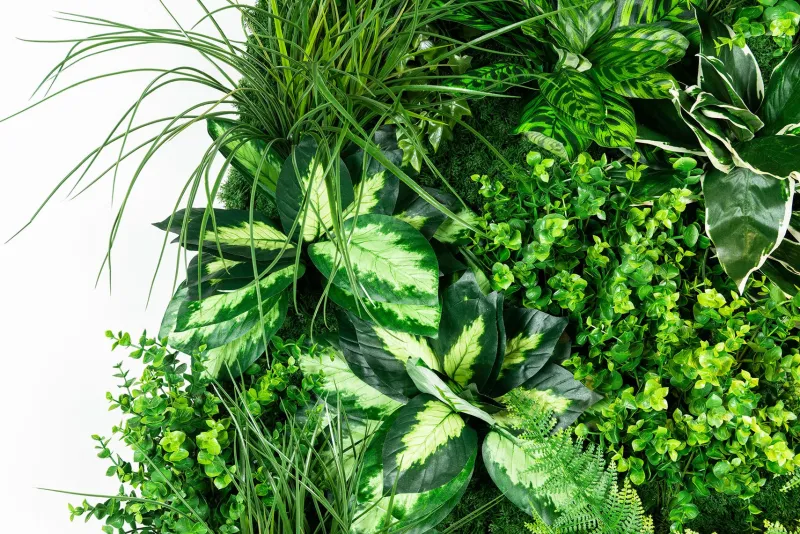 Pamono Molokai Modular Vertical Garden Panel from VGnewtrend> Decorative Objects