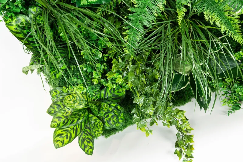 Pamono Molokai Modular Vertical Garden Panel from VGnewtrend> Decorative Objects