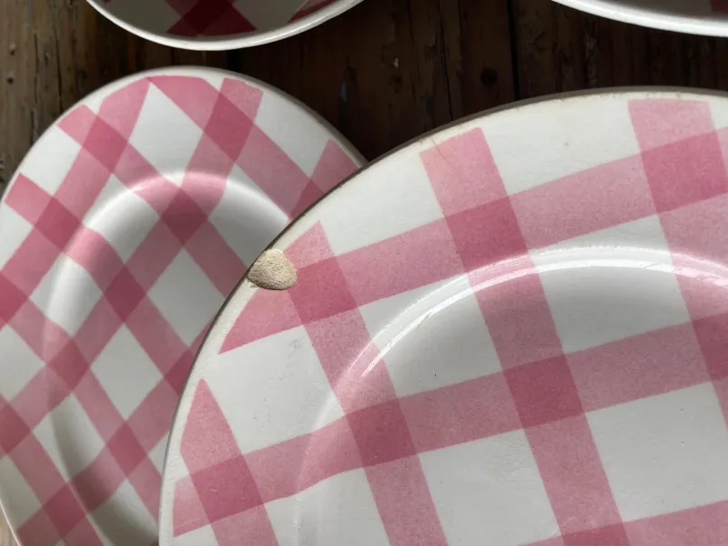 Pamono Moulin Des Loups Pink Tablecloth Dinnerware Set, 1950s, Set of 13