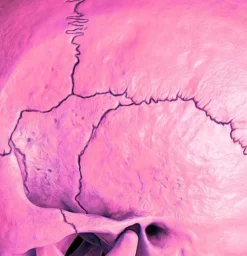 Online Pamono Mr Strange, Death in Pink, 2021, Giclée on Aludibond