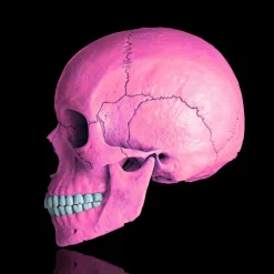 Pamono Mr Strange, Death in Pink, 2021, Giclée on Aludibond