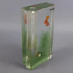 Pamono Murano Glass Single Flower Aquarium Vase by Barbini, 1960s> Vases