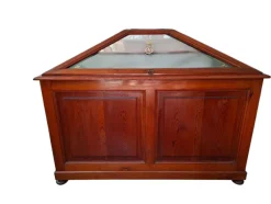 Best Pamono Museum Display Case, 1900s