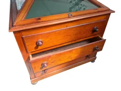 Best Pamono Museum Display Case, 1900s