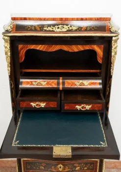 Sale Pamono Napoleon III Secretaire in Exotic Fine Woods with Gilt Bronze Applications, France, 19th Century