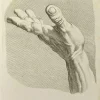 Hot Pamono Nicholas Cochin, The Study of Hand after Bouchardon, Etching, 1755