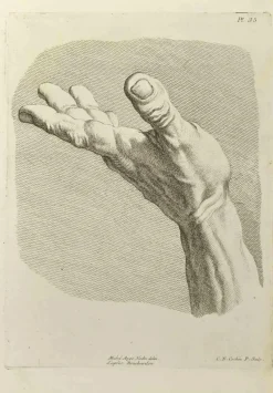 Hot Pamono Nicholas Cochin, The Study of Hand after Bouchardon, Etching, 1755