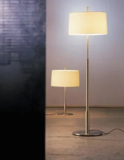 Pamono Nickel Diana Mayor Floor Lamp by Federico Correa><noscript><img width=