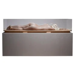 Pamono Nude Lady, 2000s, Wax Figure in Acrylic Glass> Sculpture